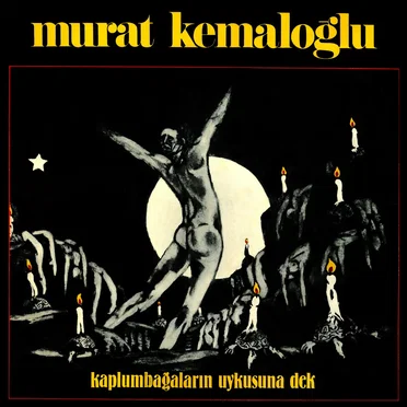Kaplumbağaların Uykusuna Dek