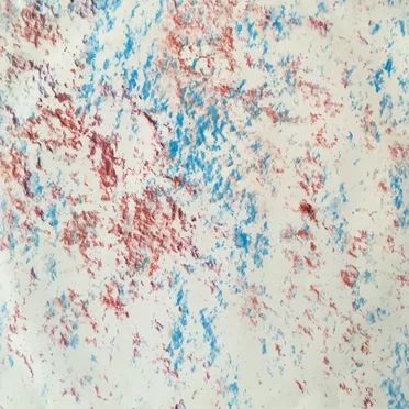 Des Traces Retrouvées II