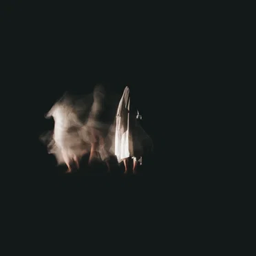 Lost Tree by Young Mountain - album cover