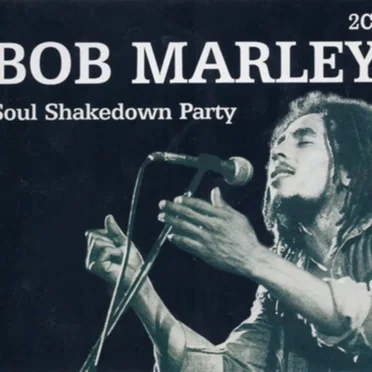 Soul Shakedown Party