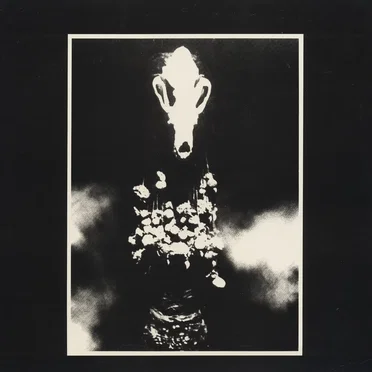 Freedom In A Vacuum by Various Artists - album cover