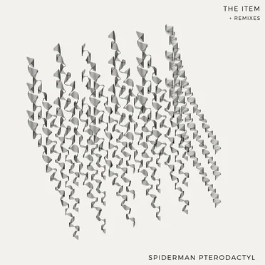 The Item by Spiderman Pterodactyl - album cover