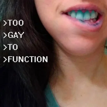 Too Gay To Function by Too Gay To Function - album cover