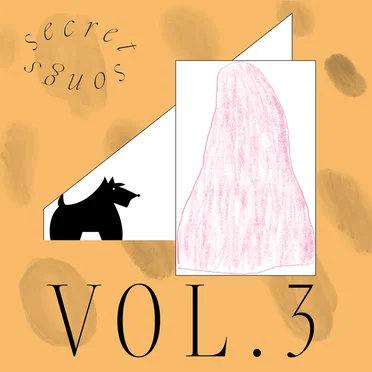 Secret Songs Volume 3 by Various Artists - album cover