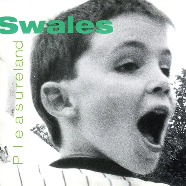 Pleasureland by Swales - album cover
