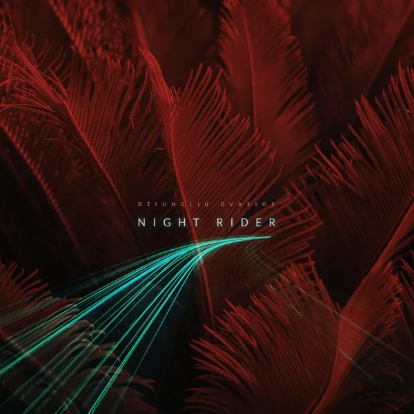 Night Rider