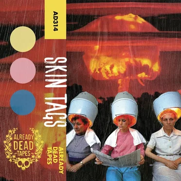 Skin Tags by Skin Tags - album cover