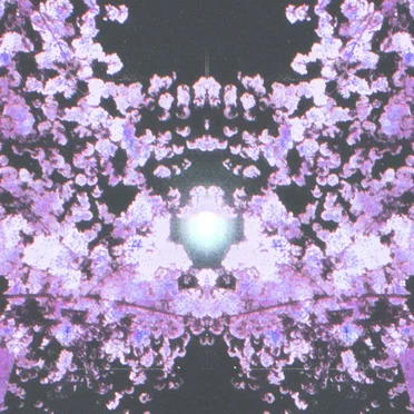 angel of flowers