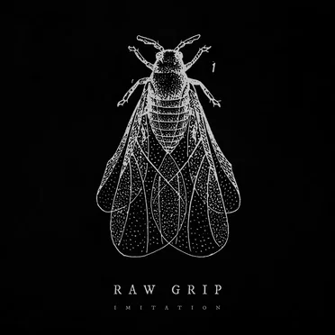 Imitation by Raw Grip - album cover