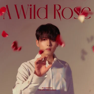 A Wild Rose by 려욱 - album cover