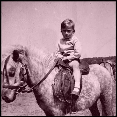 Talking Pony