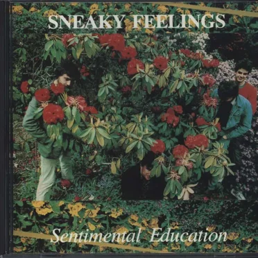 Sentimental Education by Sneaky Feelings - album cover
