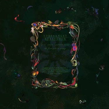 LP 12" Autumn '22