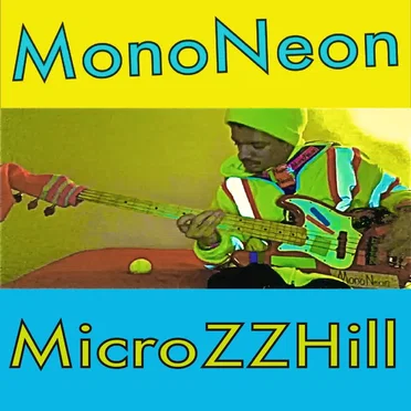 MicroZZHill