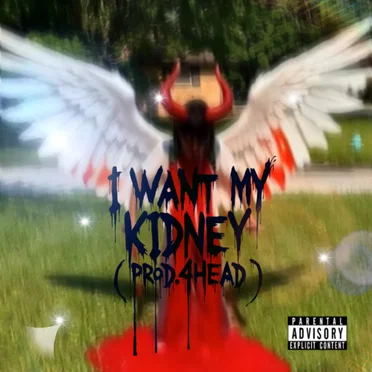 I Want My Kidney