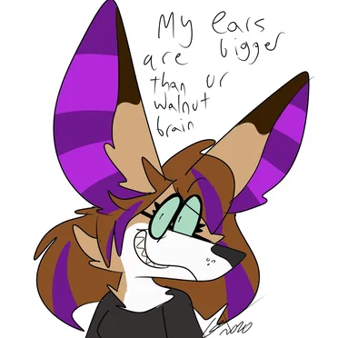 my ears are bigger than ur walnut brain
