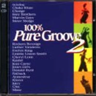 100% Pure Groove, Volume 2 by Various Artists - album cover