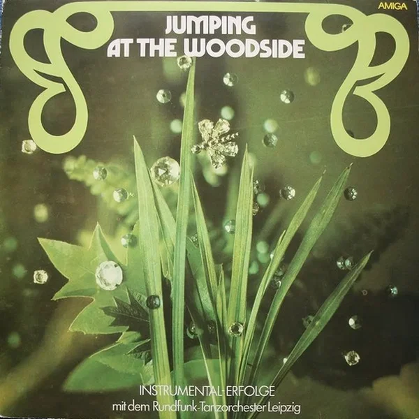 Jumping at the Woodside - Instrumental-Erfolge mit dem Rundfunk-Tanzorchester Leipzig