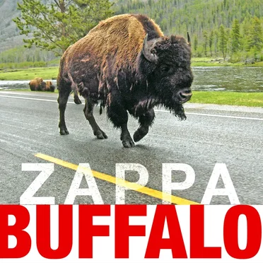 Buffalo