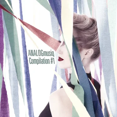 ANALOGmusiq Compilation #1 by Various Artists - album cover