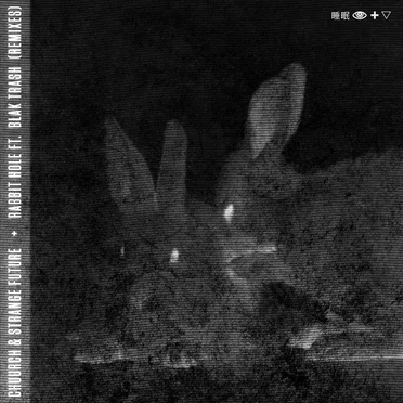 Rabbit Hole (Remixes) by Chuurch - album cover