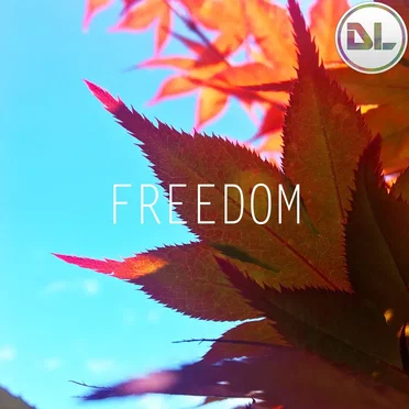Freedom by DeLaye - album cover