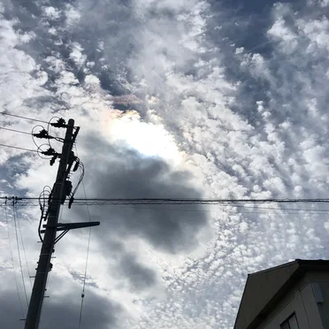 くうかんせい