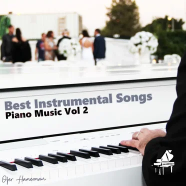 Best Instrumental Songs, Vol. 2 by Ofer Hamerman - album cover