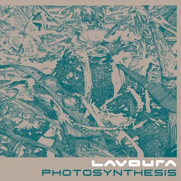 Photosynthesis