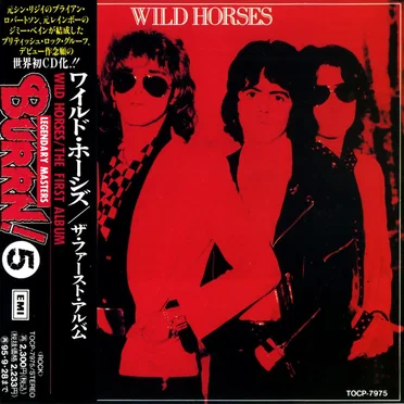 The First Album by Wild Horses - album cover