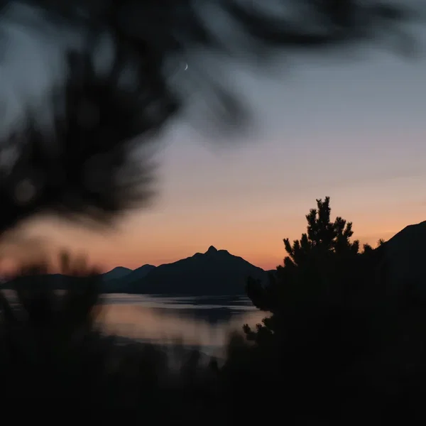 Into the Night