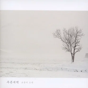 보옴이 오면