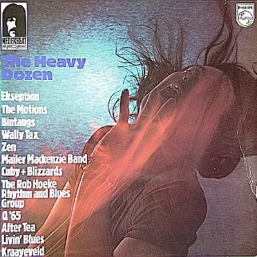 The Heavy Dozen by Various Artists - album cover