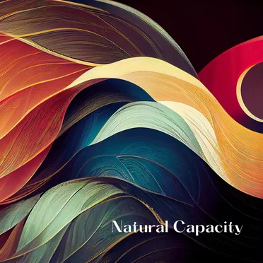 Natural Capacity by Lifty Haze - album cover