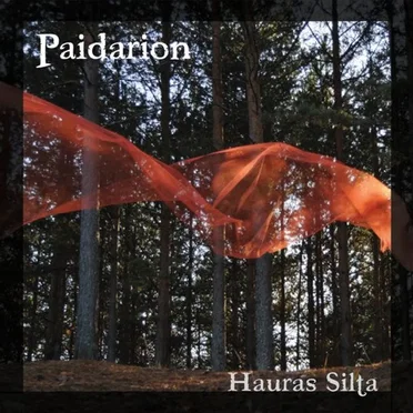 Hauras silta by Paidarion - album cover