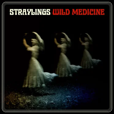 Wild Medicine