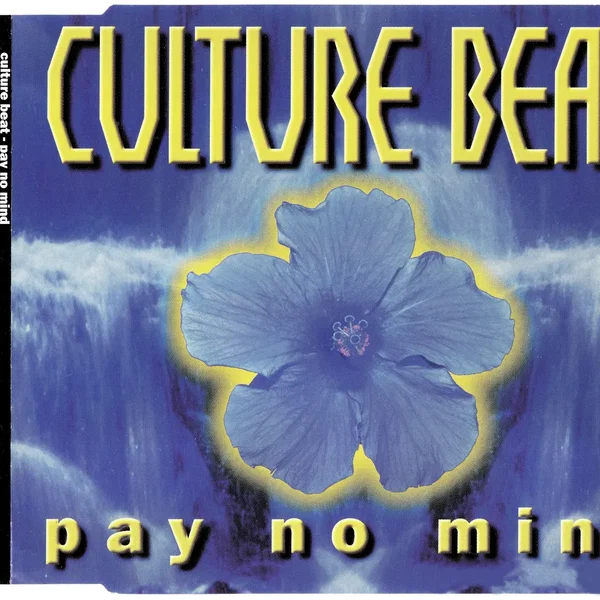 Pay No Mind