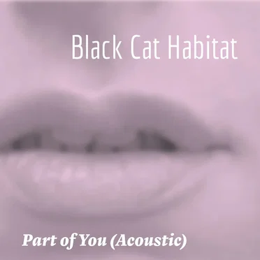 Part of You (Acoustic)