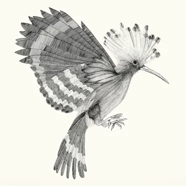Puput by Cocanha - album cover