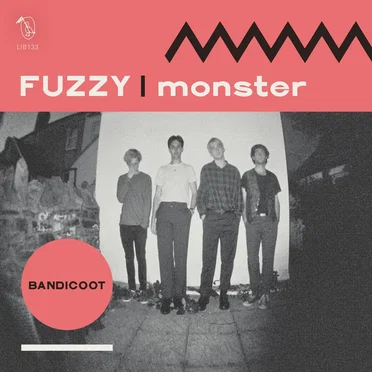 FUZZY / Monster by Bandicoot - album cover