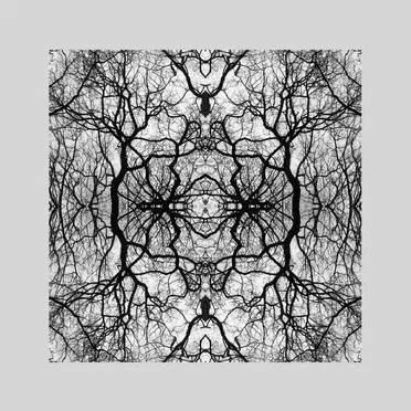 5-Adrift