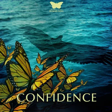 Confidence by The Library of the Human Soul - album cover