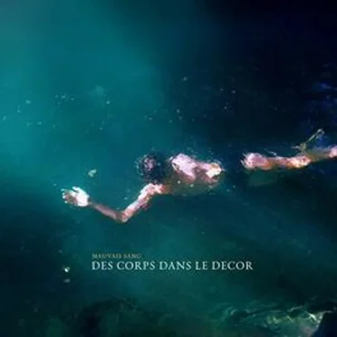Des corps dans le décor by Mauvais Sang - album cover