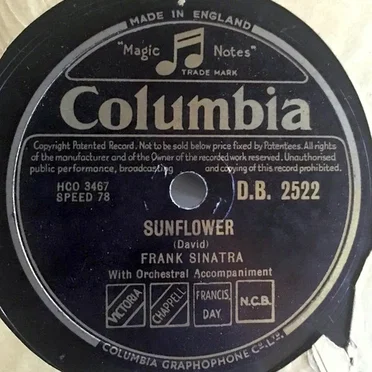 Sunflower / If You Stub Your Toe on the Moon