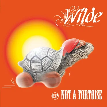 Not a Tortoise