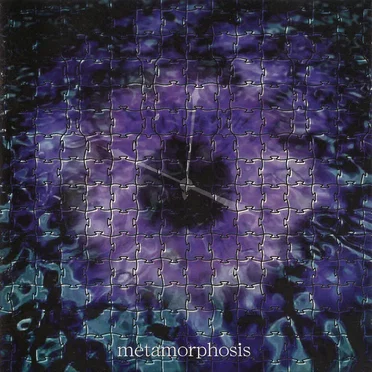 metamorphosis by REVEΦ - album cover