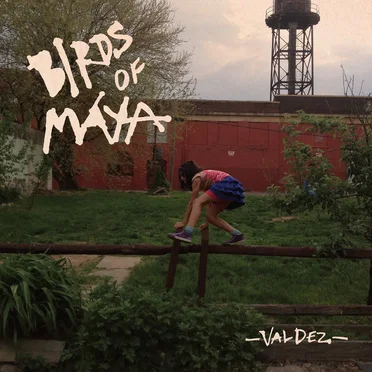 Valdez by Birds of Maya - album cover