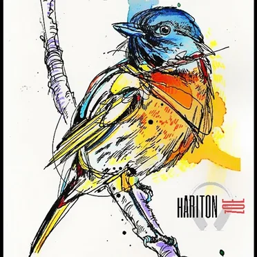pURE and sIMPLE by hARITON zOE - album cover