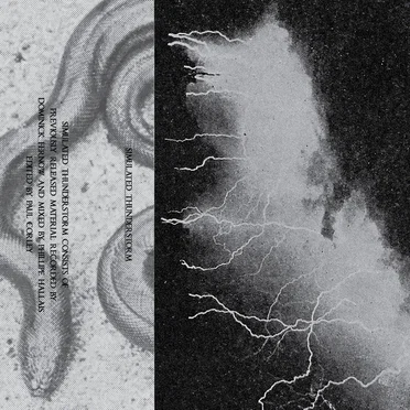 Simulated Thunderstorm by Rainforest Spiritual Enslavement - album cover