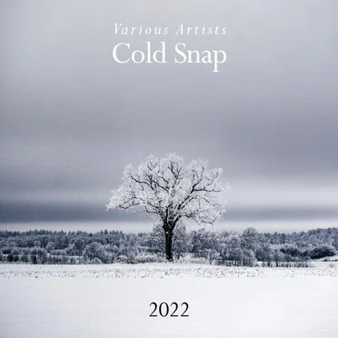 Cold Snap 2022 by Various Artists - album cover